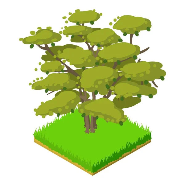 Butternut tree icon, isometric style — Stock Vector