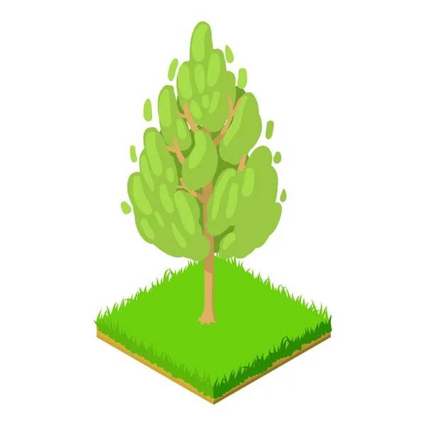Basswood strom ikona, izometrický styl — Stockový vektor