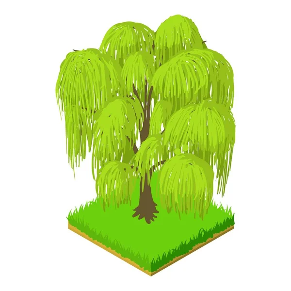 Weeping willow icon, isometric style Stock Illustration