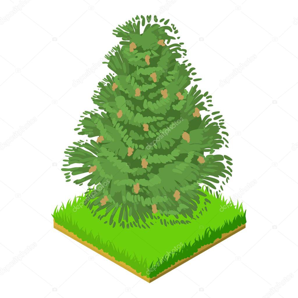 Eastern hemlock icon, isometric style