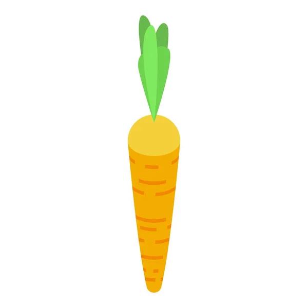 Иконка свежей моркови, изометрический стиль — стоковый вектор