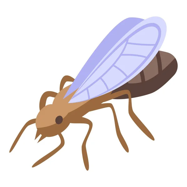 Ant fly icône, style isométrique — Image vectorielle