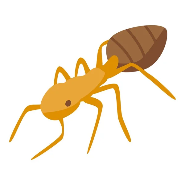 Ikona mrówki zespołowej, izometryczny styl — Wektor stockowy