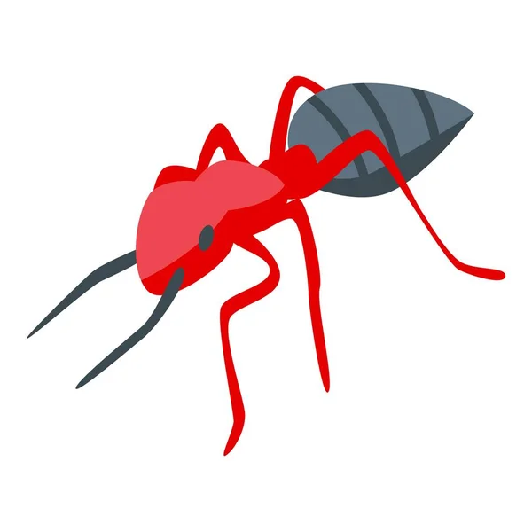 Icône fourmi fouilleuse, style isométrique — Image vectorielle
