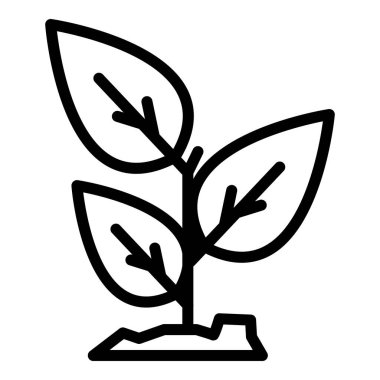 Fesleğen aroma simgesi, taslak biçimi