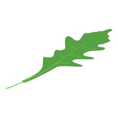Arugula taze yaprak simgesi, izometrik stil