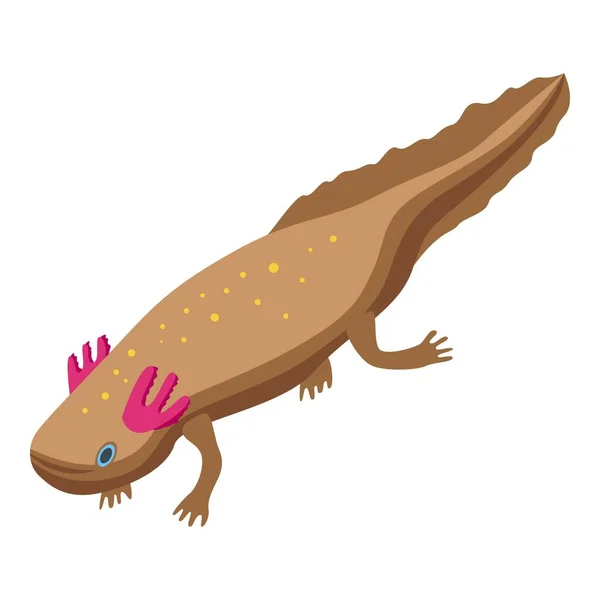 Icono de Axolotl, estilo isométrico — Vector de stock