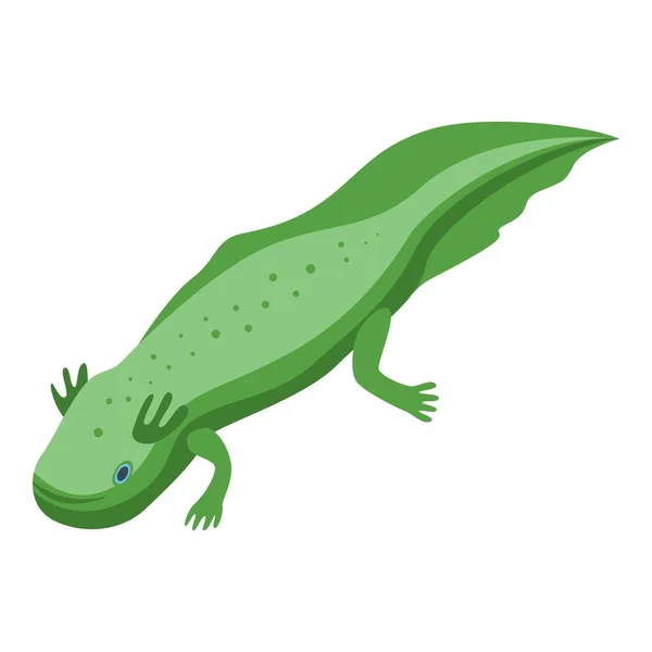 Mexican axolotl icon, isometric style — Stock Vector