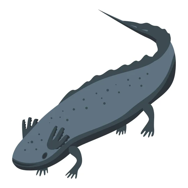 Icône de salamandre mexicaine, style isométrique — Image vectorielle