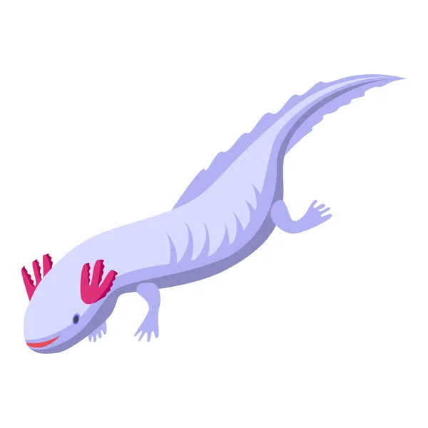 Axolotl kétéltű ikon, izometrikus stílus — Stock Vector