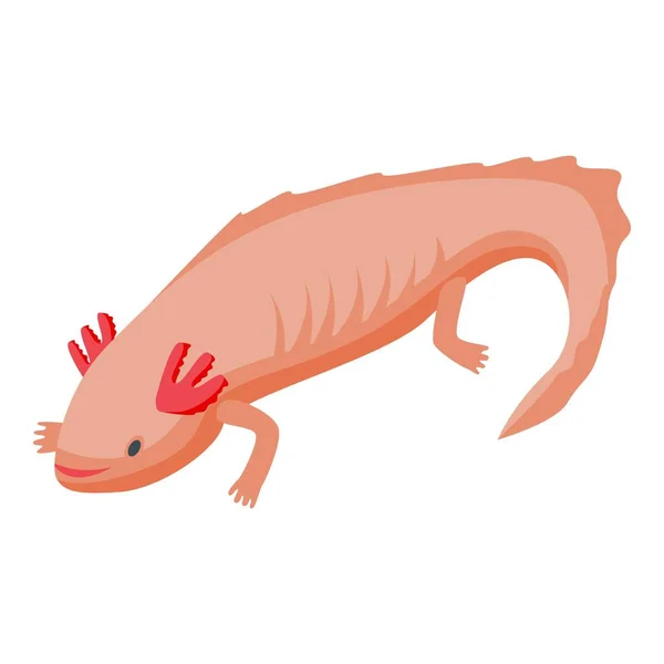 Icono de lagarto Axolotl, estilo isométrico — Vector de stock