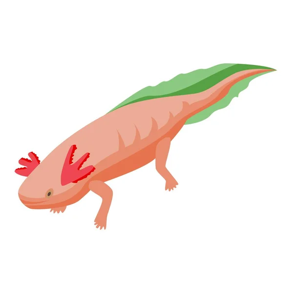 Icône du lac axolotl, style isométrique — Image vectorielle