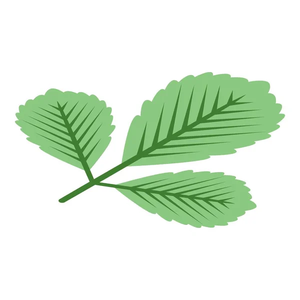 Icono de hoja de otoño verde, estilo isométrico — Archivo Imágenes Vectoriales