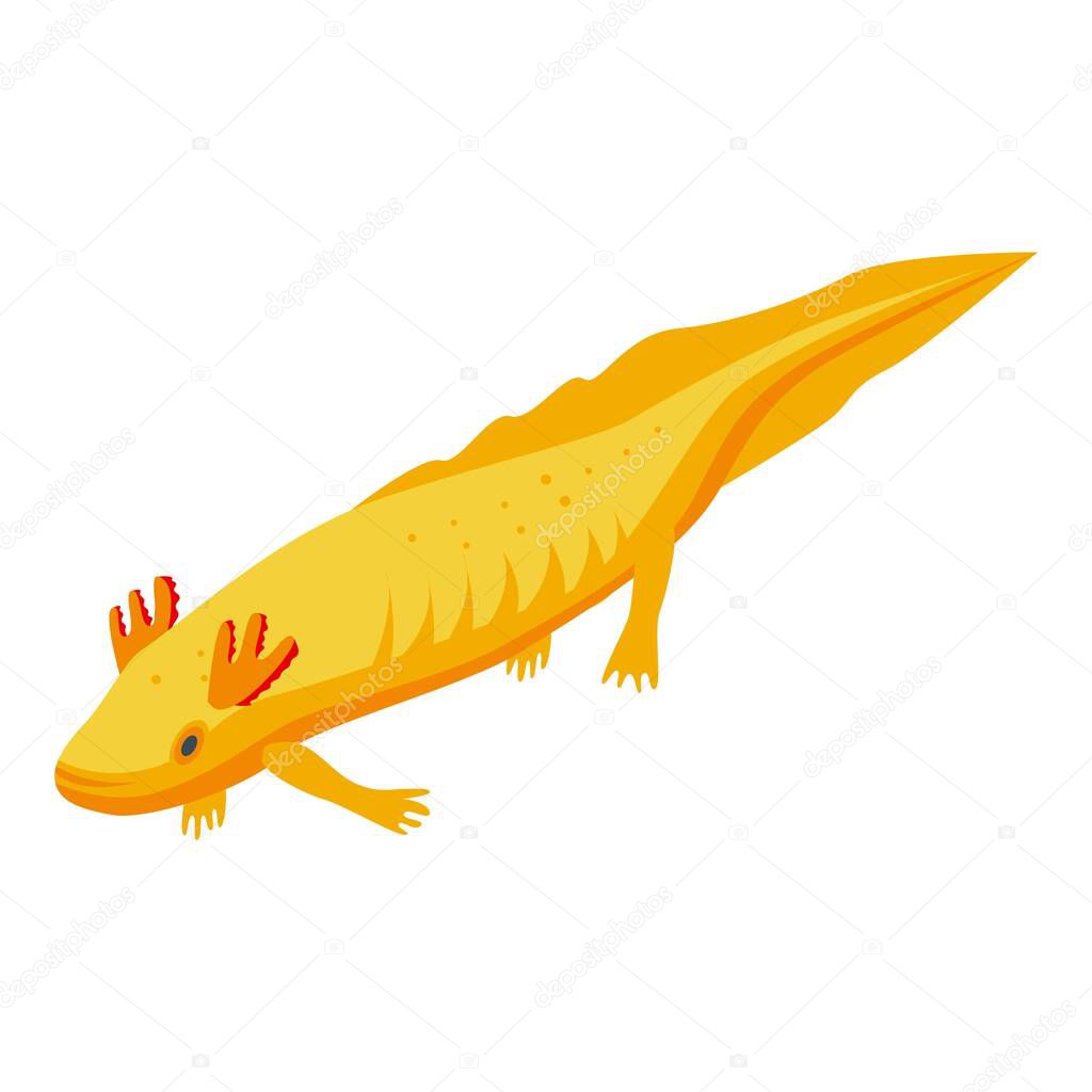 Axolotl pet icon. Isometric of axolotl pet vector icon for web design isolated on white background