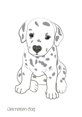 Vektör görüntüsü. Beyaz bir arka planda noktalar ile küçük bir beyaz köpek vardır. Orada bir Ute Dalya köpek yavrusu.