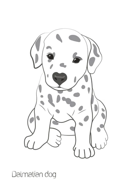 Imagen Vectorial Sobre Fondo Blanco Hay Pequeño Perro Blanco Con — Archivo Imágenes Vectoriales