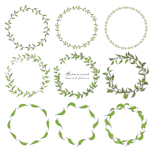 Set Botanical Frame Hand Drawn Flowers Botanical Composition Decorative Element — Stock Vector