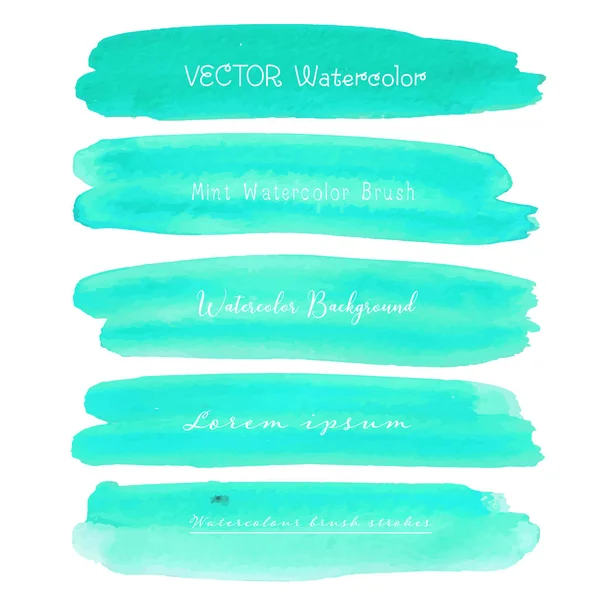 Set Van Mint Waterverf Witte Achtergrond Borstel Beroerte Aquarel Vectorillustratie — Stockvector