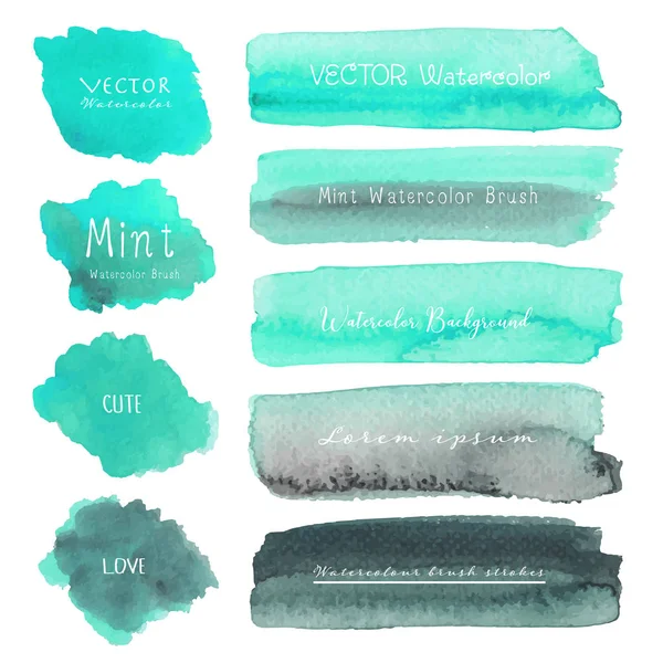 Set Van Mint Waterverf Witte Achtergrond Borstel Beroerte Aquarel Vectorillustratie — Stockvector