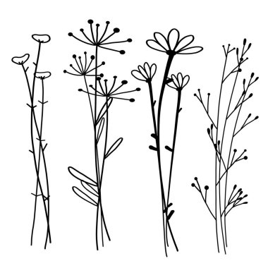 El çizilmiş botanik seti, doodle Floral element, vektör illüstrasyon.