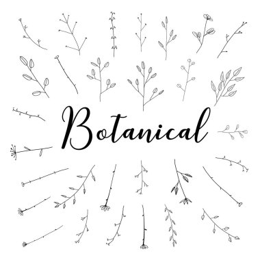 El çizilmiş botanik seti, doodle Floral element, vektör illüstrasyon.