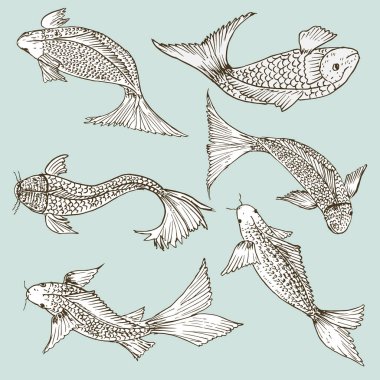 El çizilmiş balık seti, Sağlıklı gıda çizimleri menü tasarımı için öğeleri ayarlayın. Vektör çizimi.