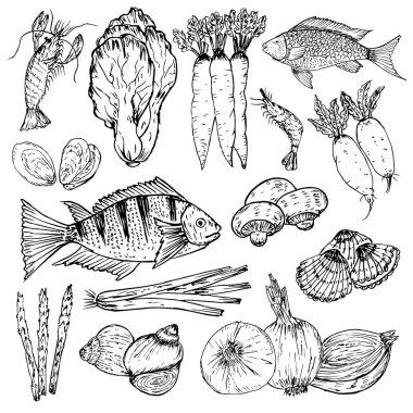 Elle çizilmiş organik gıda seti. Organik otlar, baharatlar ve deniz ürünleri. Sağlıklı gıda çizimleri menü tasarımı için öğeleri ayarlayın. Vektör çizimi.