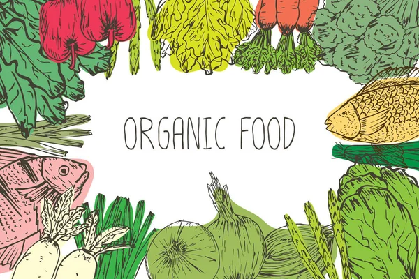 Fondo Alimentos Orgánicos Dibujados Mano Hierbas Orgánicas Especias Mariscos Los — Vector de stock