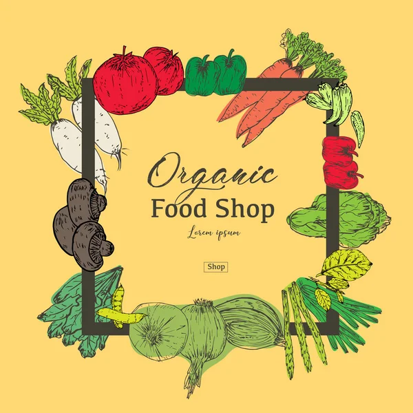 Banner Alimentos Orgánicos Dibujado Mano Hierbas Especias Orgánicas Comida Saludable — Vector de stock