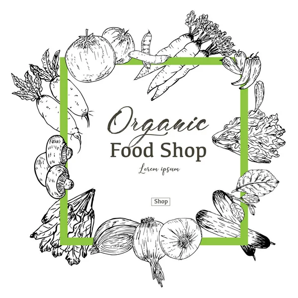 Bandeira Comida Orgânica Desenhada Mão Ervas Especiarias Orgânicas Alimentos Saudáveis — Vetor de Stock