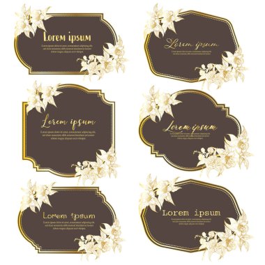 El çizilmiş çiçek çerçeve seti. El çizilmiş çiçek ile geometrik çerçeve. Botanik kompozisyon. Düğün kartı için dekoratif unsur. Davetiyeler Vektör illüstrasyon.