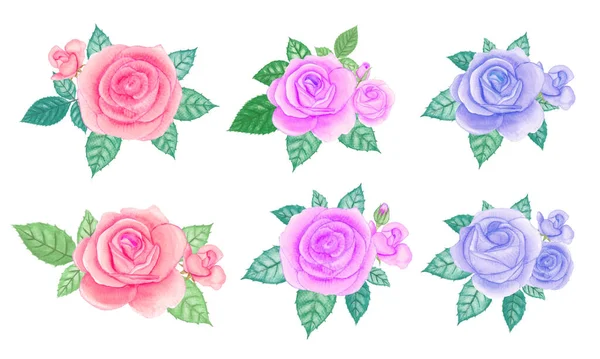 Watercolor Rose Bouquet Elements Set Hand Drawn Vector Illustration — Stock Vector