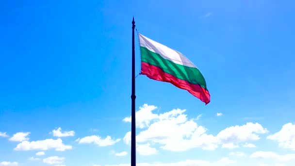 4 k 영상의 불가리아 국기를 흔들며. — 비디오