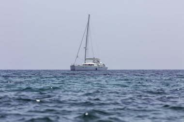 Sahildeki okyanusta beyaz yelkenli katamaran..