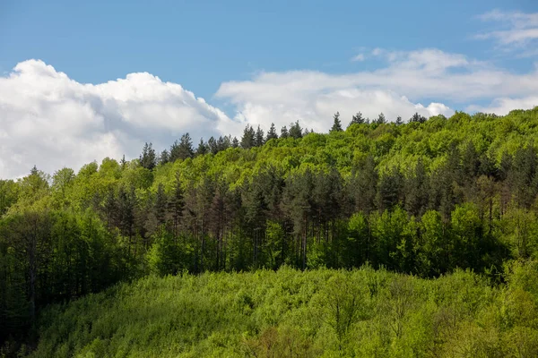 Manzaralı yeşil yuvarlanan tepeler mavi gökyüzüne karşı bulutlarla.