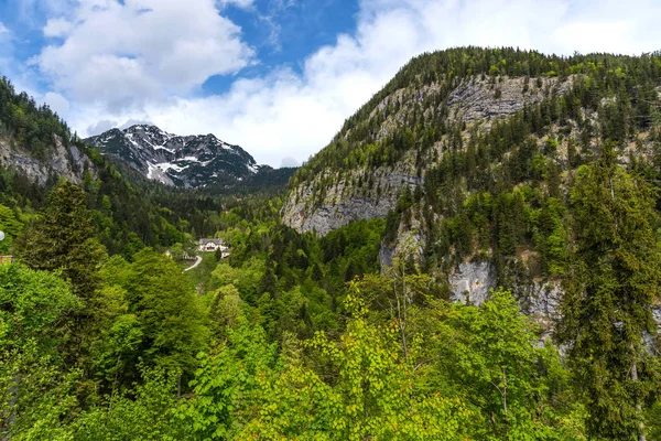 Zoutmijn Hallstatt Oostenrijk Omringd Door Bergen Prachtige Kleurrijke Bomen Zomer — Stockfoto