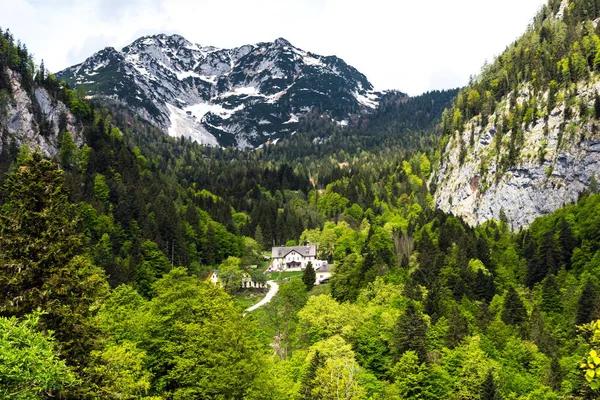 Saltmine Hallstattu Rakousku Obklopen Horami Krásné Barevné Stromy Létě — Stock fotografie