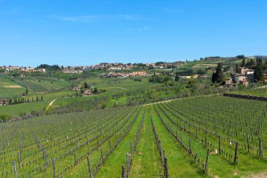 Güzel panoramik yerleşim alanları Radda in Chianti ve üzüm bağları ve zeytin ağaçları Chianti bölge, Toskana, İtalya