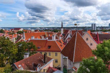 Hava panoramik cityscape güzel görüntülemek eski kasaba Tallinn oteli yaz, Estonya