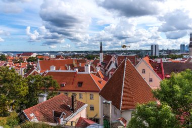 Hava panoramik cityscape güzel görüntülemek eski kasaba Tallinn oteli yaz, Estonya