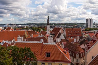Hava panoramik cityscape güzel görüntülemek eski kasaba Tallinn oteli yaz, Estonya