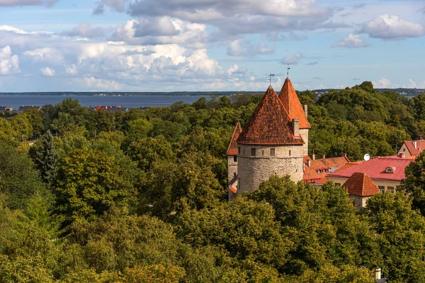Csodálatos panoráma nyílik a városfal és a tornyok régi város Tallin, Észtország — Stock Fotó