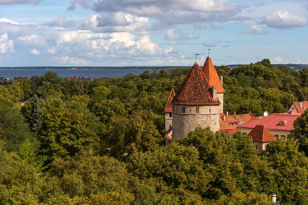 Wspaniała panorama mury i wieże starego miasta w Tallinie, Estonia — Zdjęcie stockowe