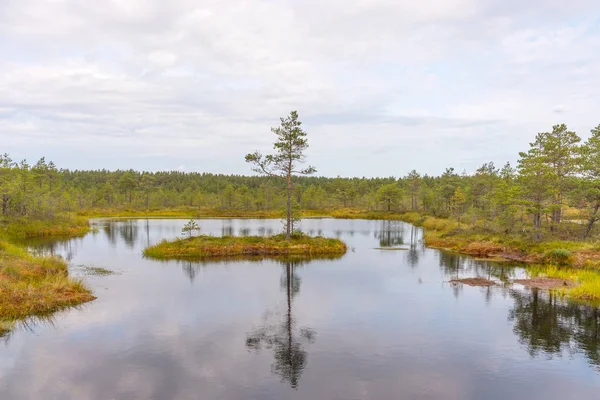 Viru Ττε Viru Raba Στο Εθνικό Πάρκο Lahemaa Στην Εσθονία — Φωτογραφία Αρχείου