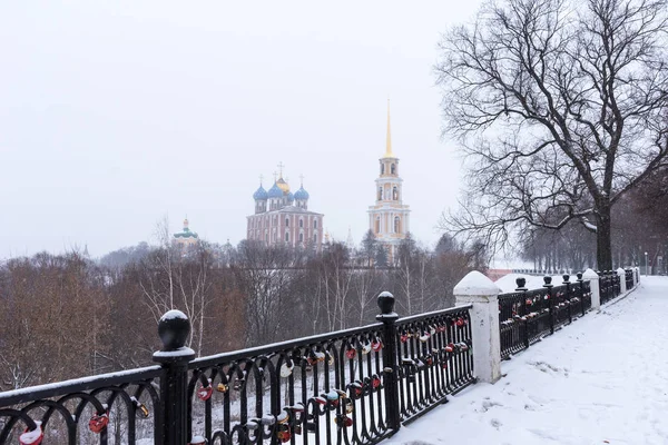 Vinter Panoramautsikt Över Ryazan Kreml Katedralen Klocktorn Domkyrka Antagandet Jungfru — Stockfoto