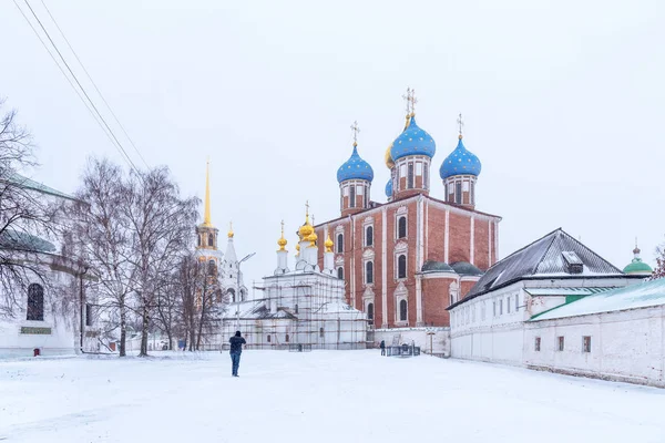 Ryazan, Rusya - 20 Ocak 2018: Kış panoramik Katedral varsayım Ryazan Kremlin, Ryazan, Rusya Federasyonu