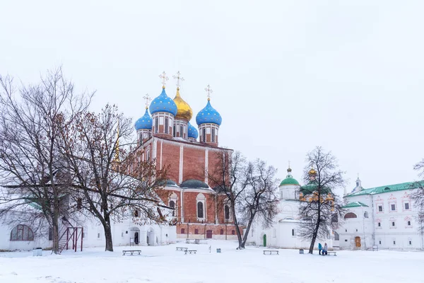Ryazan, Rusya - 20 Ocak 2018: Kış panoramik Katedral varsayım Ryazan Kremlin, Ryazan, Rusya Federasyonu
