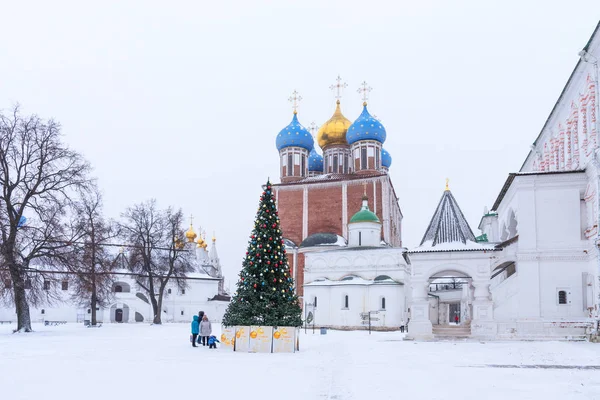 Ριαζάν Ρωσίας Ιανουαρίου 2018 Χειμώνα Πανοραμική Θέα Στον Καθεδρικό Ναό — Φωτογραφία Αρχείου