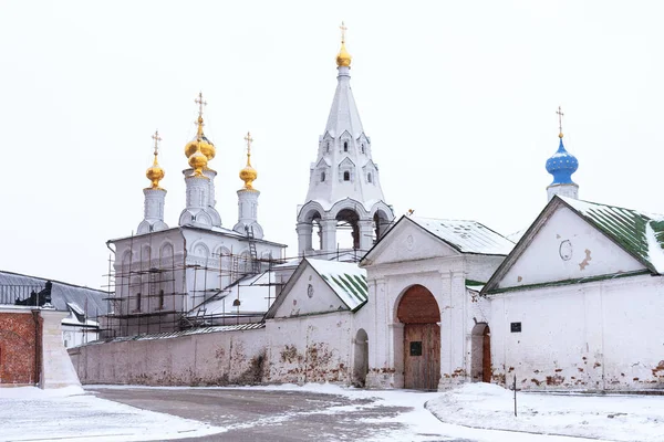 Ryazan Rusia Enero 2018 Vista Invierno Del Kremlin Ryazan Catedral — Foto de Stock