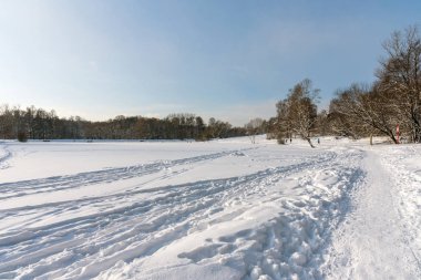 Güzel kış orman kış güneş ışığı altında. Harika kış sahne.